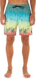 WornOnTV: Eli’s rainbow tie dye print shorts on Cobra Kai | Clothes and ...