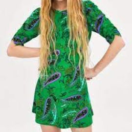 Printed Mini Dress at Zara