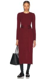 Proenza Schouler Lauryn Dress in Dark Red FWRD at FWRD