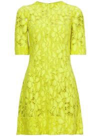 Proenza Schouler floral-lace Detail Mini Dress - at Farfetch