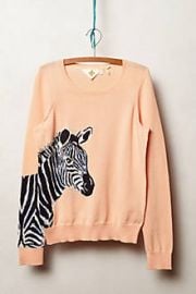 Quagga Pullover at Anthropologie