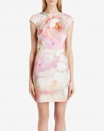 Quaro Rose on Canvas Dress at Ted Baker