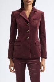 Raelynn Velvet Jacket at Nordstrom