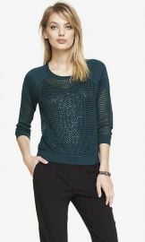 Raglan Sleeve Open Mesh Sweater at Express