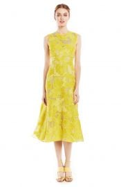 Raised Floral Fil Coupe Full Skirt Dress by Lela Rose at Orchard Mile