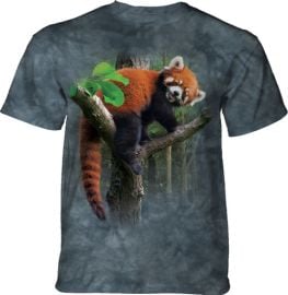 Red Panda Tree Classic Cotton T-Shirt at The Mountain