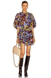 Rhode Pia Dress in Retro Paisley Ice   FWRD at Forward