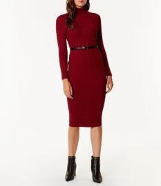 Ribbed Fitted Knit Dress at Karen Millen