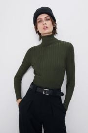 Ribbed Turtleneck Sweater by Zara at Zara