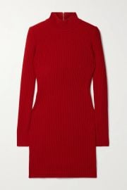 Ribbed cashmere turtleneck mini dress at Net a Porter