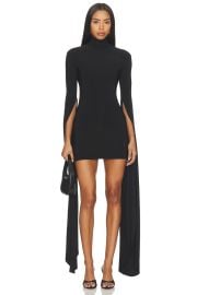 Ribbon Sleeve Turtleneck Mini Dress at Revolve