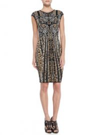 Roberto Cavalli Cap-Sleeve LeopardStriped Sheath Dress at Neiman Marcus