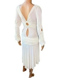 Roberto Cavalli SS 2006 Runway Cutout Semi-Sheer Dress For Sale at 1stDibs at 1st Dibs