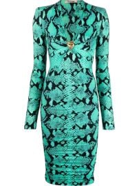 Roberto Cavalli snakeskin-print Midi Dress - Farfetch at Farfetch