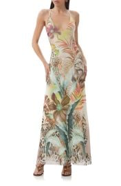 Romy Printed Mesh Maxi Slipdress at Nordstrom