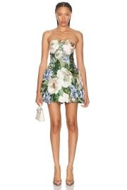 Roselle Bustier Mini Dress at FWRD