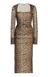 Ruched Leopard-Print Mesh Midi Dress at Moda Operandi