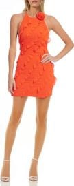Ruffle Halter Minidress at Nordstrom Rack