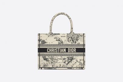 SMALL DIOR BOOK TOTE at Dior