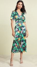 Saloni Eden Dress at Shopbop