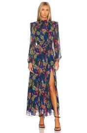 Saloni Jacqui B printed silk crepe de chine maxi dress at Revolve