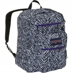 Sasha's zebra backpack at Amazon