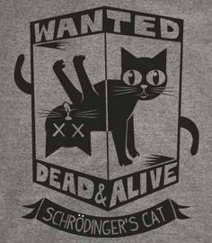 Schrodinger rsquo s Cat T-Shirt-Funny Wanted Dead or Alive shirt-Big Bang Theory at Amazon