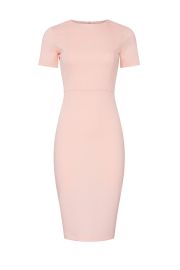 Scuba Sheath Dress by Alexia Admor at Rent The Runway