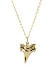 Shark Tooth Charm Necklace at Peggy Li