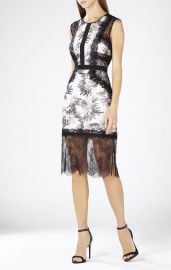 Shawna Lace Applique Dress at Bcbg