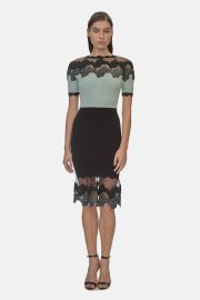 Shell Lace Knit Dress at Orchard Mile