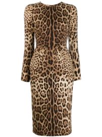 Shop Dolce amp Gabbana leopard print bodycon dress with Express Delivery - at Farfetch