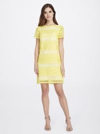 Short-Sleeve Lace Shift Dress Tahari ASL at Tahari ASL