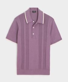 Silk-Cotton Tipped Sweater Polo in Smoked Mauve - Todd Snyder at Todd Snyder
