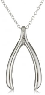 Silver wishbone necklace at Amazon