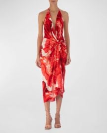 Silvia Tcherassi Abstract Guadalupe Backless Midi Dress at Neiman Marcus