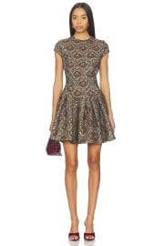Simkhai Elowen Short Sleeve Mini Dress In Ruby Multi at Revolve
