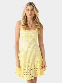 Simkhai Women39s Franklin Mini Dress 29790 Saint Bernard at St. Bernard