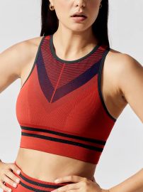 Skylark Sports Bra at Carbon38