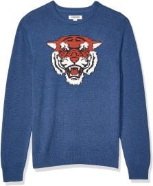 Soft Cotton Crewneck Sweater in Tiger by Goodthreads at Amazon