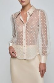 Sophie Swiss Dot Sheer Mesh Button-Up Shirt at Nordstrom