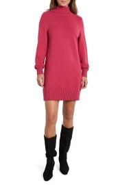 Splendid Freya Turtleneck Long Sleeve Sweater Minidress in Red Grape at Nordstrom Rack at Nordstrom Rack
