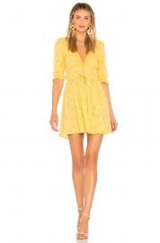 Spring Eyelet Swing Dress by For Love  Lemons at Revolve