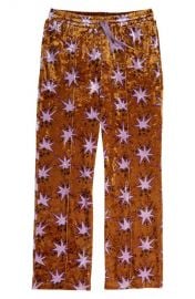 Star Print Velour Pants by Scotch R\'Belle at Nordstrom