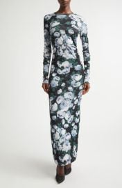 Stella McCartney Bunch of Roses Long Sleeve Mesh Maxi Dress at Nordstrom