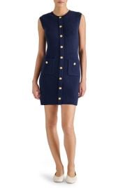 Steve Madden Mitsy Sleeveless Rib Sweater Dress at Nordstrom