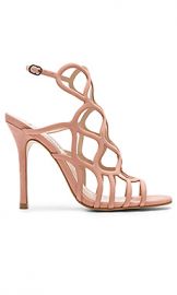 Steve Madden Tegan Sandal in Blush Nubuck from Revolve com at Revolve