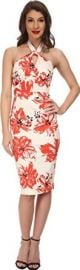 Stop Staring Womenand39s Acacia Fitted Dress Coral Floral Dress 16  Amazoncom at Amazon