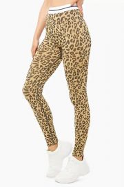 Striped-Trim Leopard Print Leggings at Forever 21