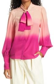 Susan Dip Die Long Sleeve Blouse at Nordstrom